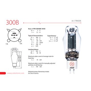 JJ 300B Tube